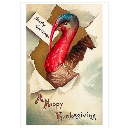 Festive Turkey Thankgiving Postcard ~ Holland