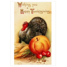 Turkey and Autumn Harvest Thankgiving Postcard ~ Holland