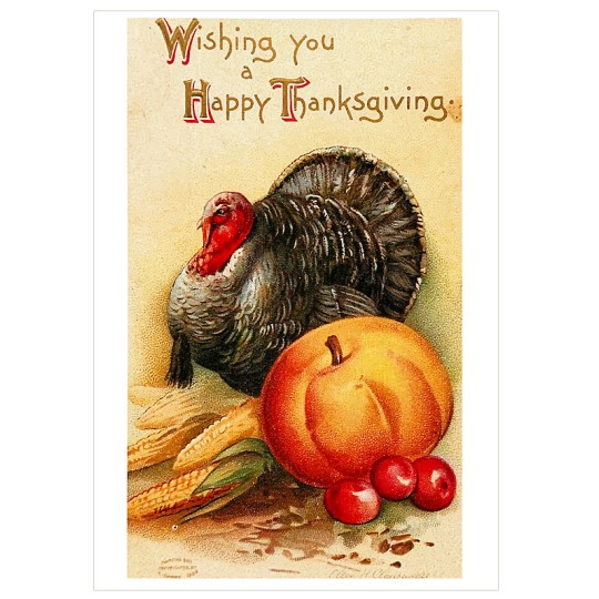 Turkey and Autumn Harvest Thankgiving Postcard ~ Holland