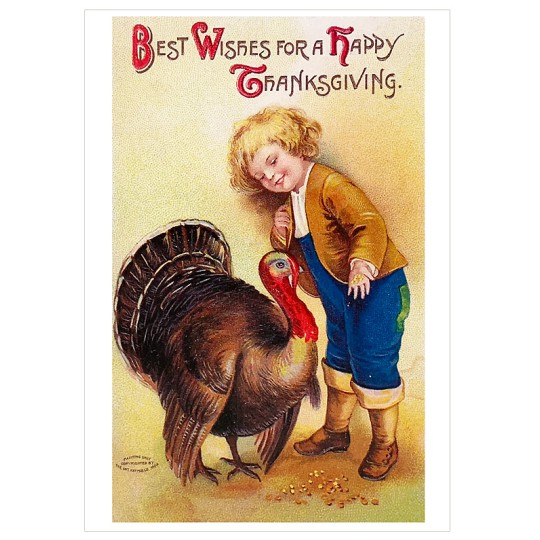 Boy with Turkey Thankgiving Postcard ~ Holland