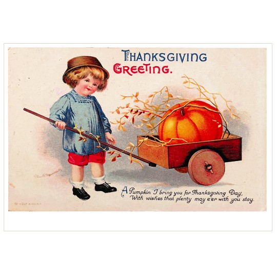 Thanksgiving Greeting Boy with Pumpkin Wagon Postcard ~ Holland