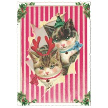 Festive Cats Christmas Postcard ~ Germany