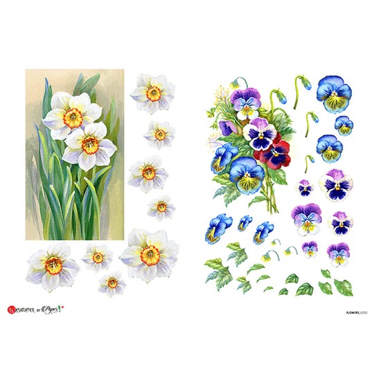 Pansy and Narcissus Floral Rice Paper Decoupage Sheet ~ Italy