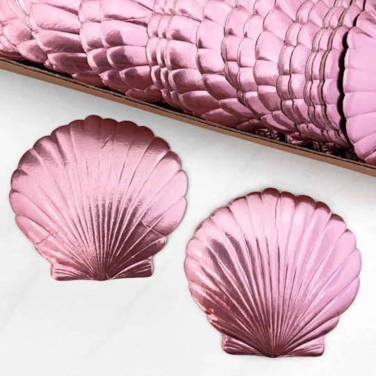 Extra Large Pink Dresden Scallop Sea Shell ~ 2