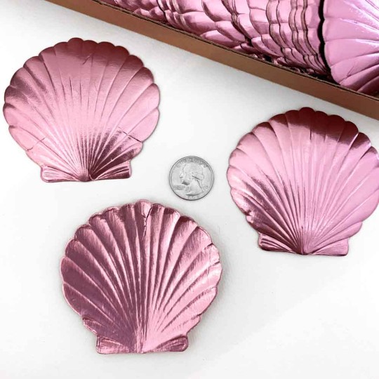 Extra Large Pink Dresden Scallop Sea Shell ~ 2