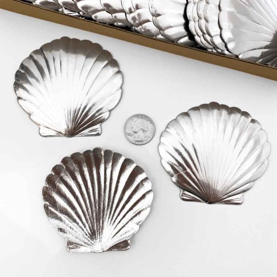 Extra Large SIlver Dresden Scallop Sea Shell ~ 2