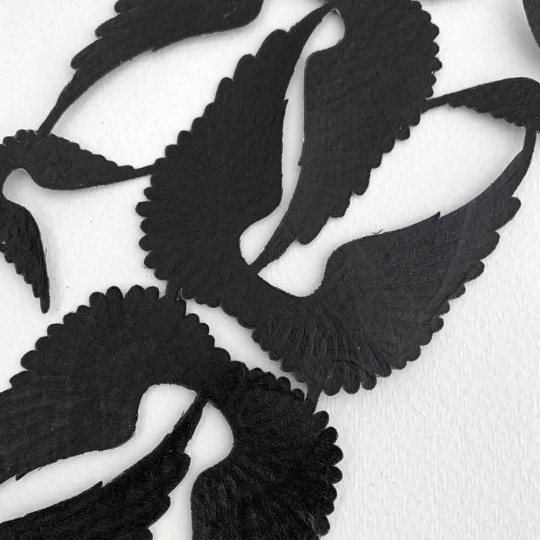 Black Dresden Foil Swan Wings ~ 8