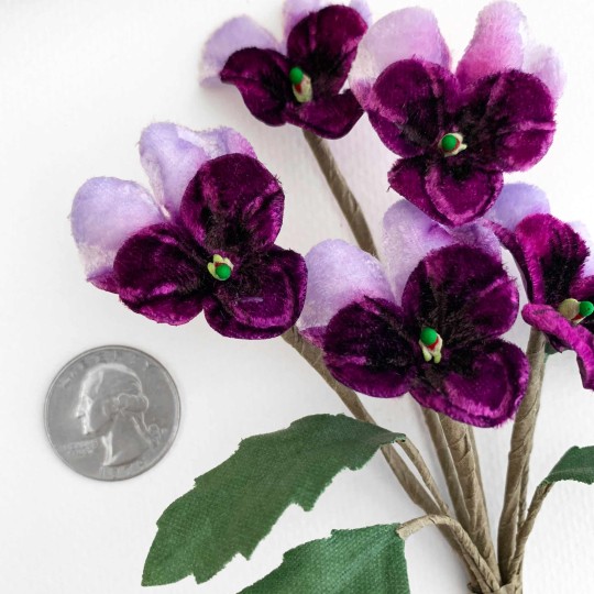 Spray of Small Velvet Pansies ~ Czech Republic ~ Dark Purple + Light Purple