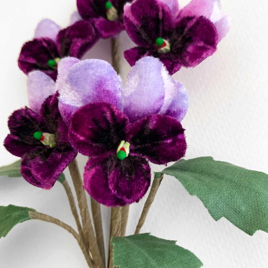 Spray of Small Velvet Pansies ~ Czech Republic ~ Dark Purple + Light Purple