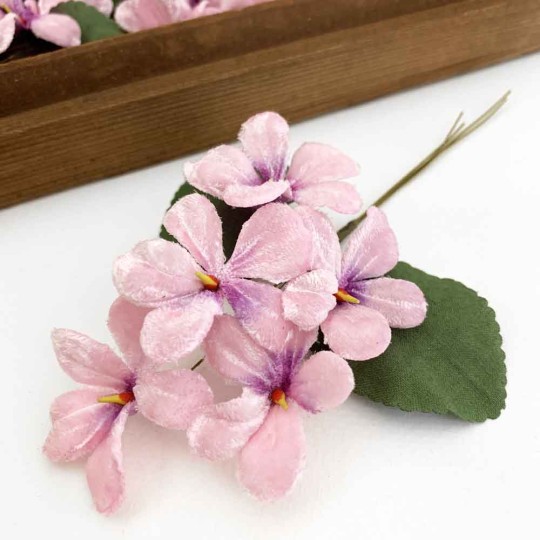 Spray of 5 Light Pink + Purple Velvet Violets ~ Czech Republic