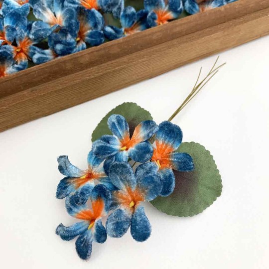 Spray of 5 Blue + Orange Velvet Violets ~ Czech Republic