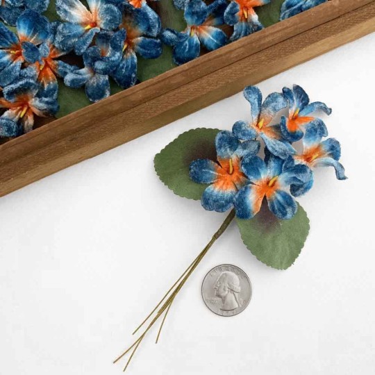 Spray of 5 Blue + Orange Velvet Violets ~ Czech Republic