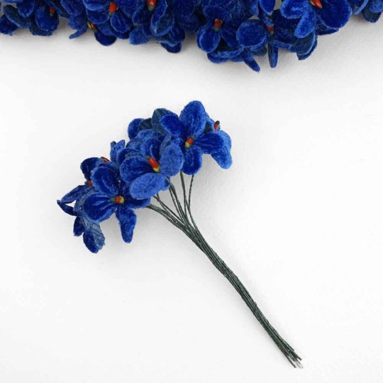 Bouquet of 12 Royal Blue Velvet Forget Me Nots ~ Czech Republic