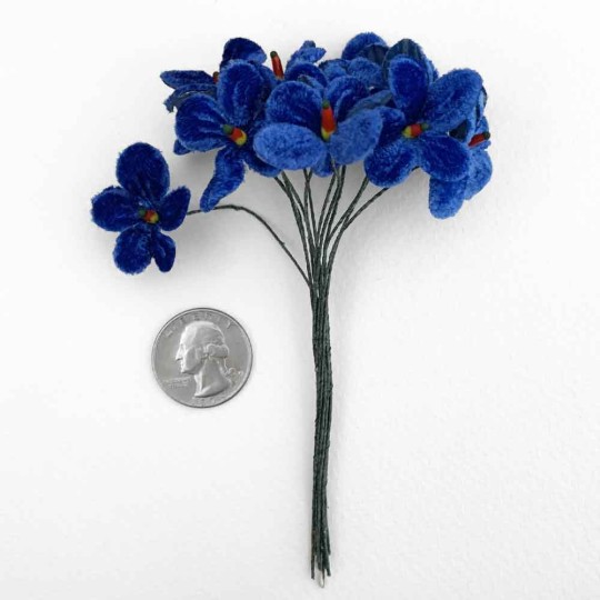 Bouquet of 12 Royal Blue Velvet Forget Me Nots ~ Czech Republic