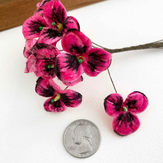 Bundle of 10 Hot Pink and Black Velvet Pansies ~ Czech Republic