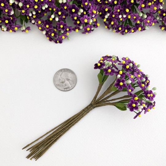 Bundle of Petite Velvet Forget me Nots ~ Czech Republic ~ VIOLET PURPLE