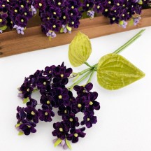 Elegant Spray of Dark Purple Velvet Lilacs ~ Czech Republic