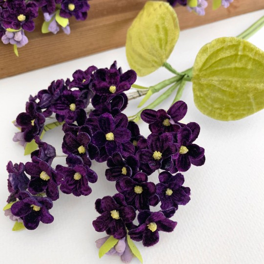 Elegant Spray of Dark Purple Velvet Lilacs ~ Czech Republic