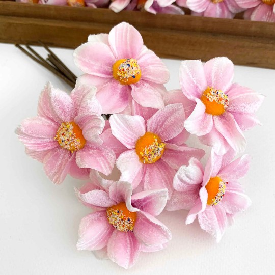 Bunch of Light Pink Velvet Dahlia Flowers with Fuzzy Centers ~ Czech Republic