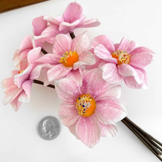 Bunch of Light Pink Velvet Dahlia Flowers with Fuzzy Centers ~ Czech Republic