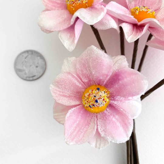 Bunch of Light Pink Velvet Dahlia Flowers with Fuzzy Centers ~ Czech Republic