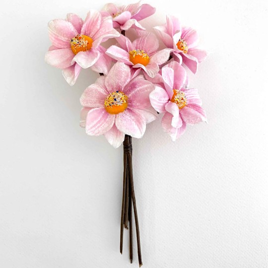 Bunch of Light Pink Velvet Dahlia Flowers with Fuzzy Centers ~ Czech Republic