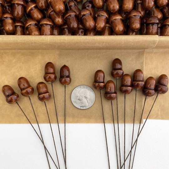 12 Lacquered Spun Cotton Acorn Craft Stems ~ BROWN