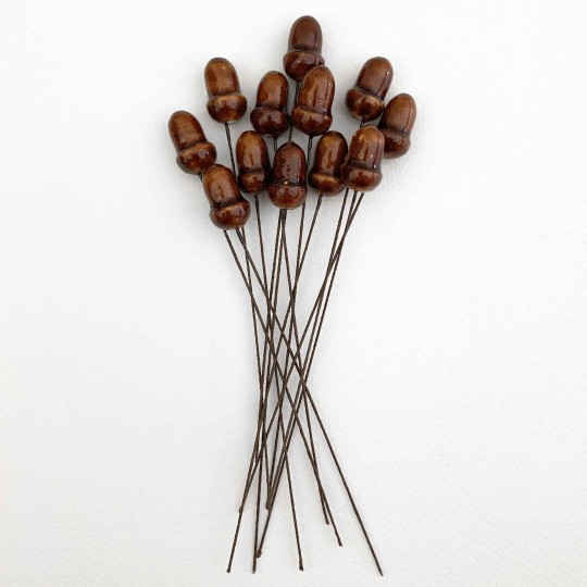 12 Lacquered Spun Cotton Acorn Craft Stems ~ BROWN