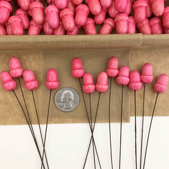 12 Lacquered Spun Cotton Acorn Craft Stems ~ PINK