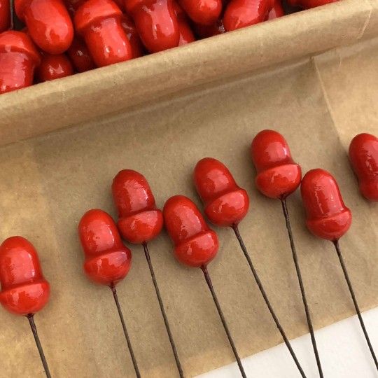 12 Lacquered Spun Cotton Acorn Craft Stems ~ RED