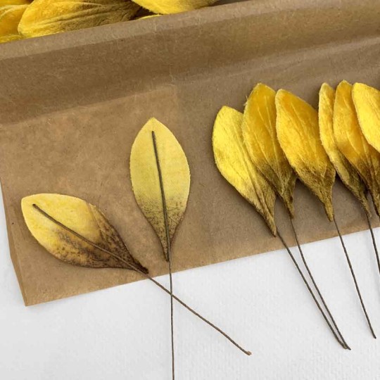 Set of 12 Small Velvet Pear Leaves ~ GOLDEN YELLOW OMBRE