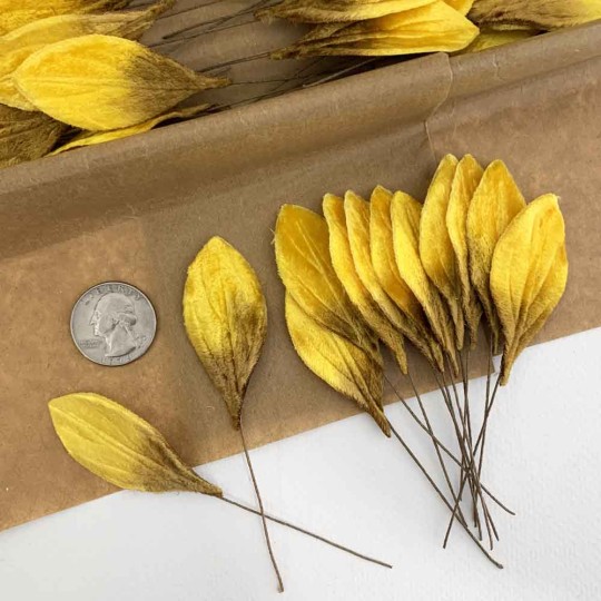 Set of 12 Small Velvet Pear Leaves ~ GOLDEN YELLOW OMBRE