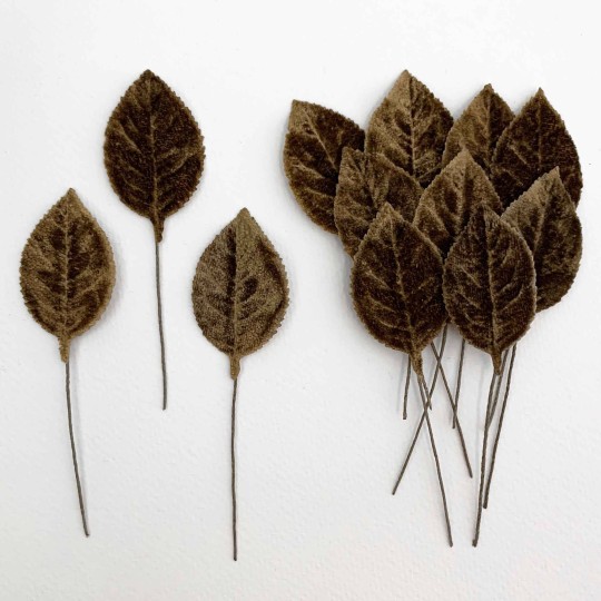 Set of 12 Velvet Rose Leaves ~ BROWN