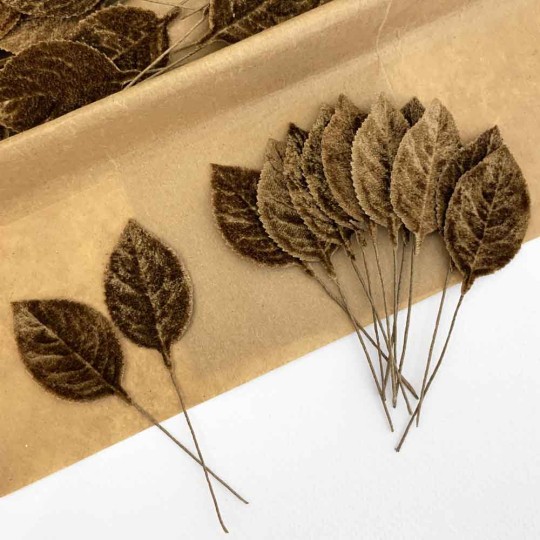 Set of 12 Velvet Rose Leaves ~ BROWN