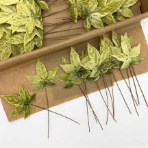 Set of 12 Sweet Gum Leaves ~ GREEN OMBRE
