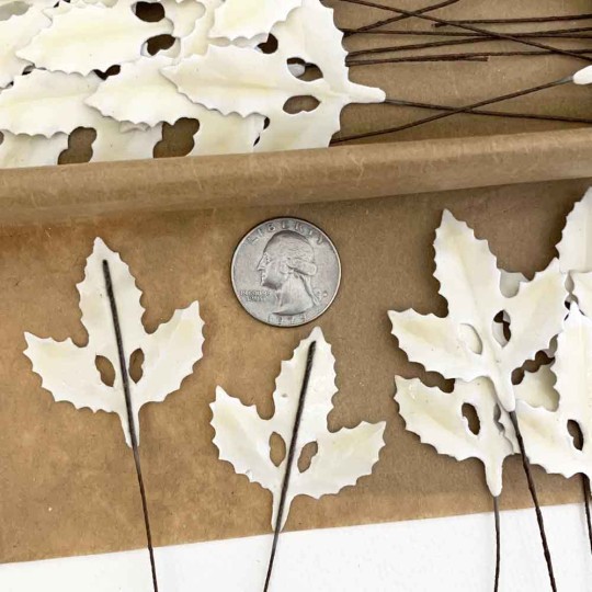 Lacquered Paper Holly Leaves ~ Cream ~ Bundle of 12 Retro Craft Leaves