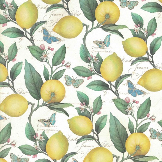 https://www.vintage-ornaments.com/image/cache/catalog/data/paper%20sheets/kartos/IPK230-Florentine-Italian-Paper-Lemon-Print-540x540.jpg