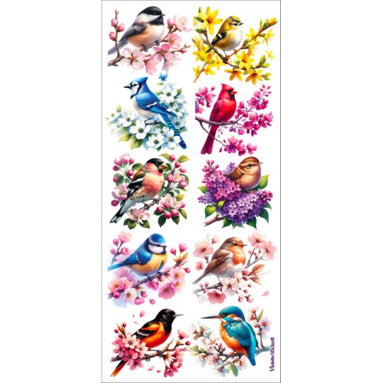 1 Sheet of Stickers Colorful Birds