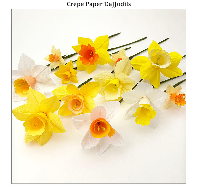 CrepeDaffodils